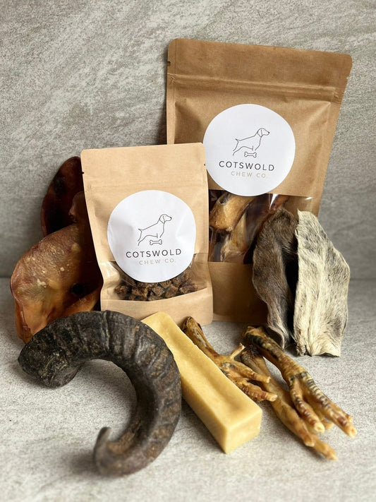 The Benefits of Natural Dog Chews: Why They're the Best Treat for Your Dog’s Health