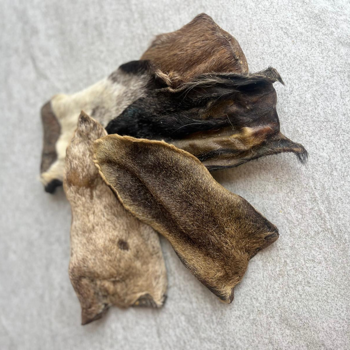 Goat_Ear Dog Treat De Wormer