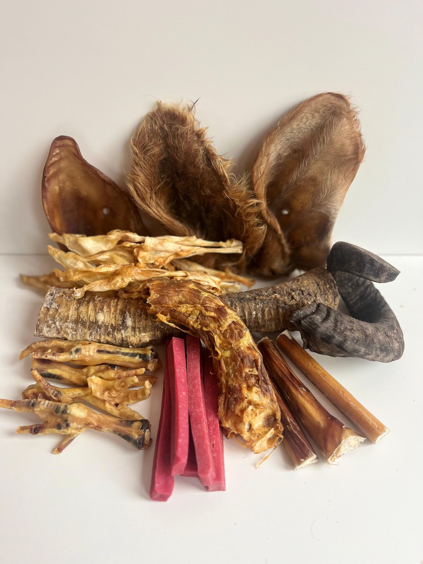 Christmas Advent Bundle