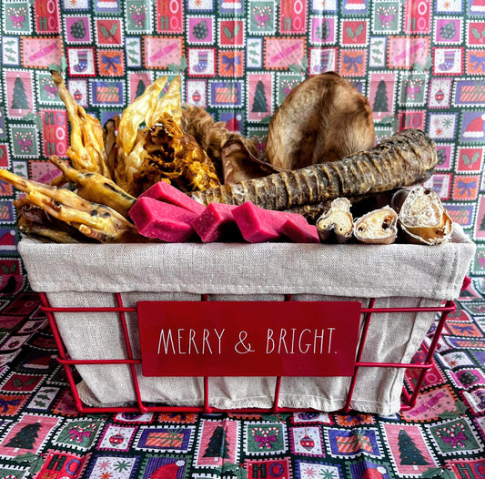 Dog Advent Calender Chews Christmas