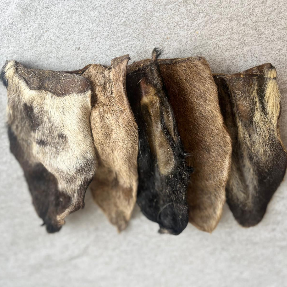 Goat_Ears_Dog_Treat